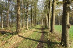 Wandelen rond Renswoude