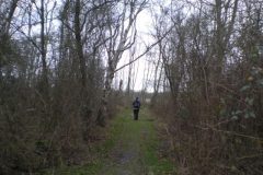 Wandelen rond Rockanje