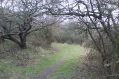 Wandelen rond Rockanje