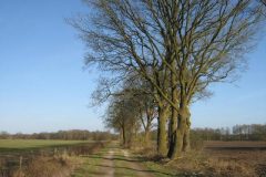 Wandelen rond Rolde