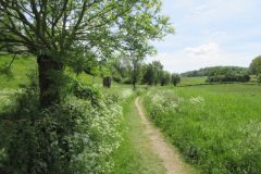 Wandelen rond Schin Op Geul