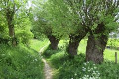Wandelen rond Schin Op Geul