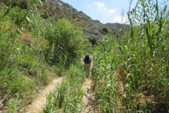Wandelen rond Sitia