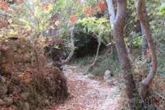 Wandelen rond Sitia