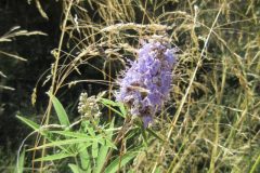Wandelen rond Sitia