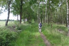 Wandelen rond Valkenswaard