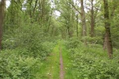 Wandelen rond Valkenswaard