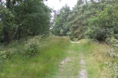 Wandelen rond Vierhouten