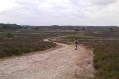 Wandelen rond Vierhouten
