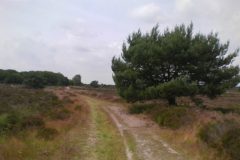 Wandelen rond Vierhouten