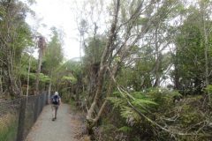 Wandelen rond Whangarei