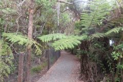 Wandelen rond Whangarei