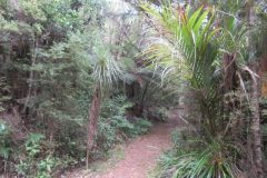 Wandelen rond Whangarei