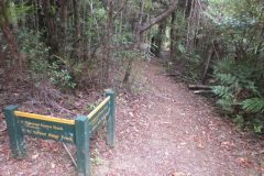 Wandelen rond Whangarei
