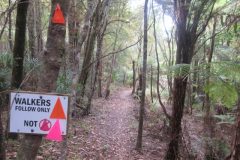 Wandelen rond Whangarei