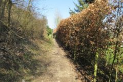 Wandelen rond Wijlre