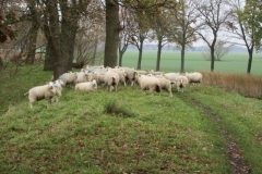 Wandelen rond Woudenberg