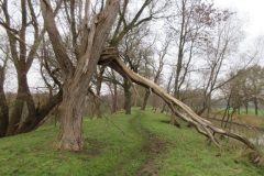 Wandelen rond Woudenberg