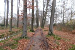 Wandelen rond Woudenberg