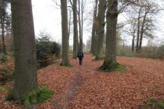 Wandelen rond Woudenberg